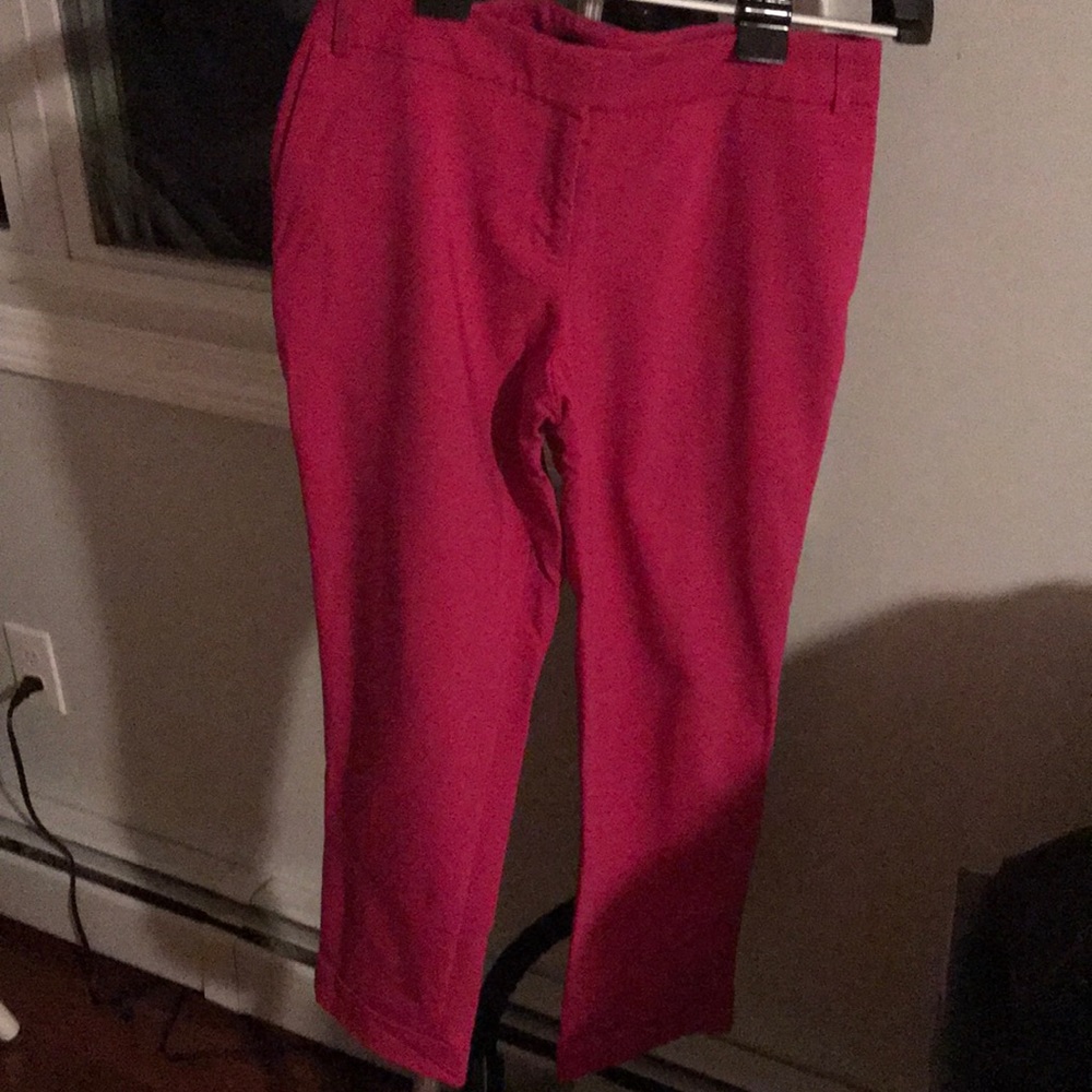 Express Editor Ankle Pant